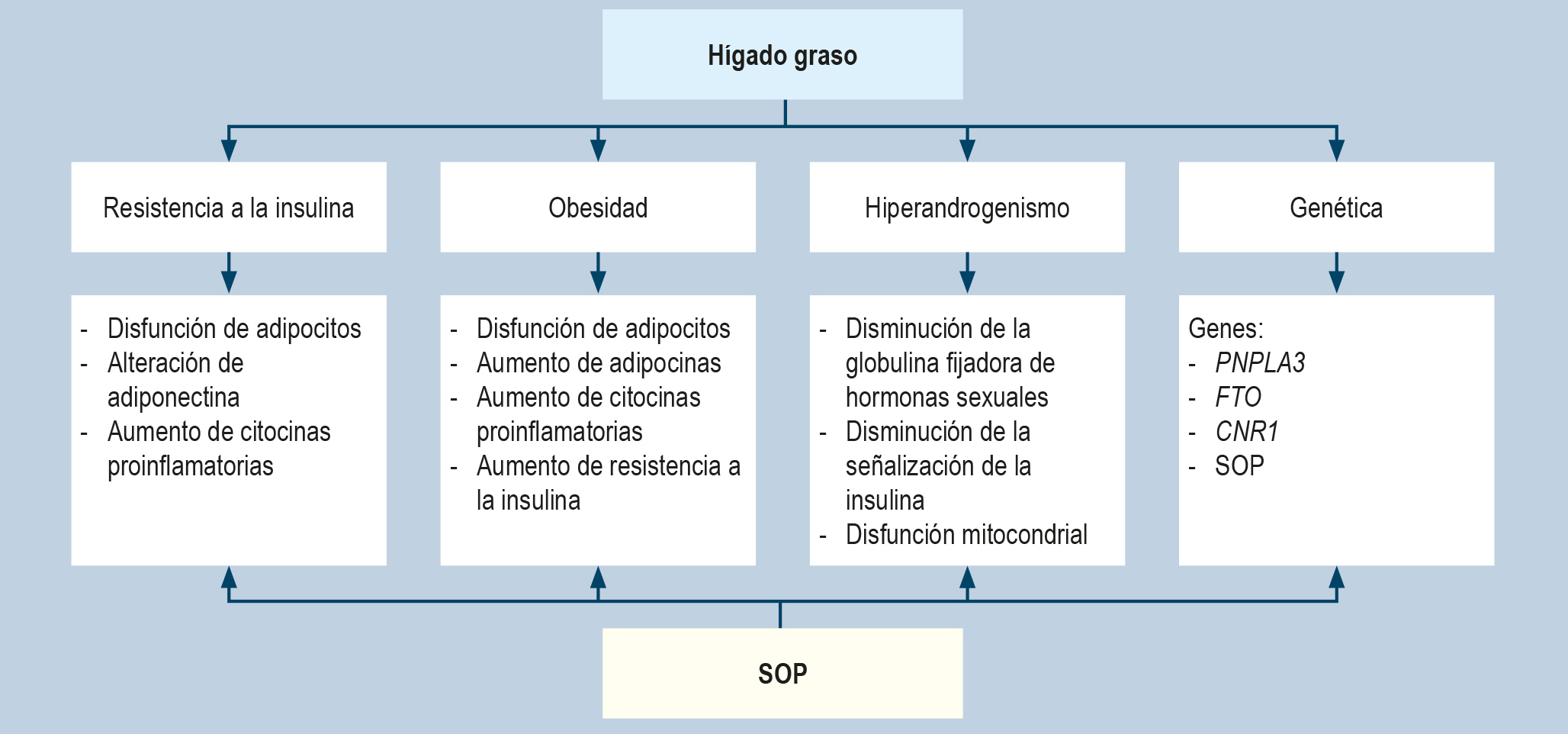 Figura 1. Fisiopatología del hígado graso y síndrome de ovario poliquístico (SOP). Imagen propiedad de los autores.