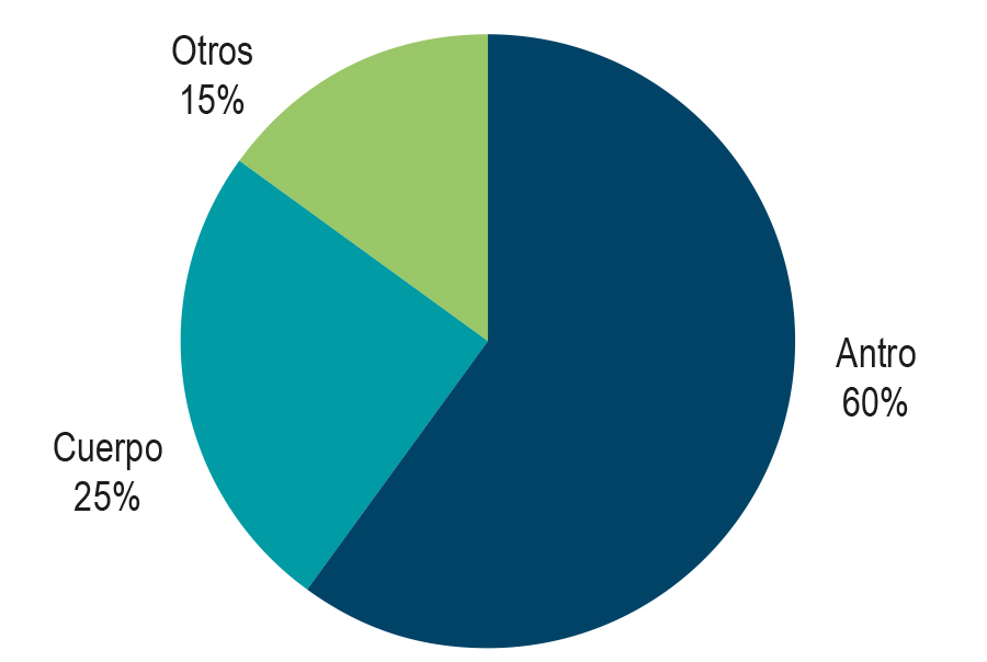 FFigure 1. Distribution of gastric xanthomas by location. Image property of the authors